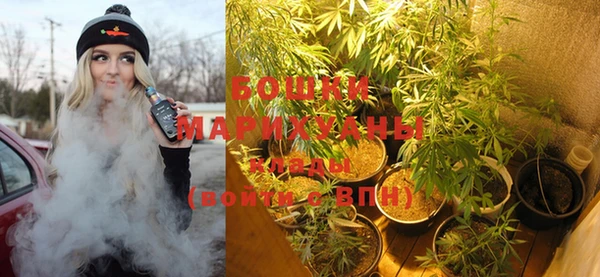 spice Гусиноозёрск
