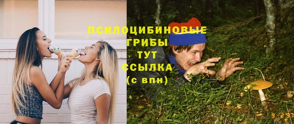 spice Гусиноозёрск