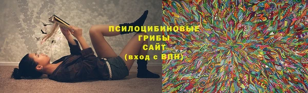 ешки Гусев